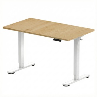 FLEXISPOT ESSENTIAL Height Adjustable Standing Desk - JIJI.SG