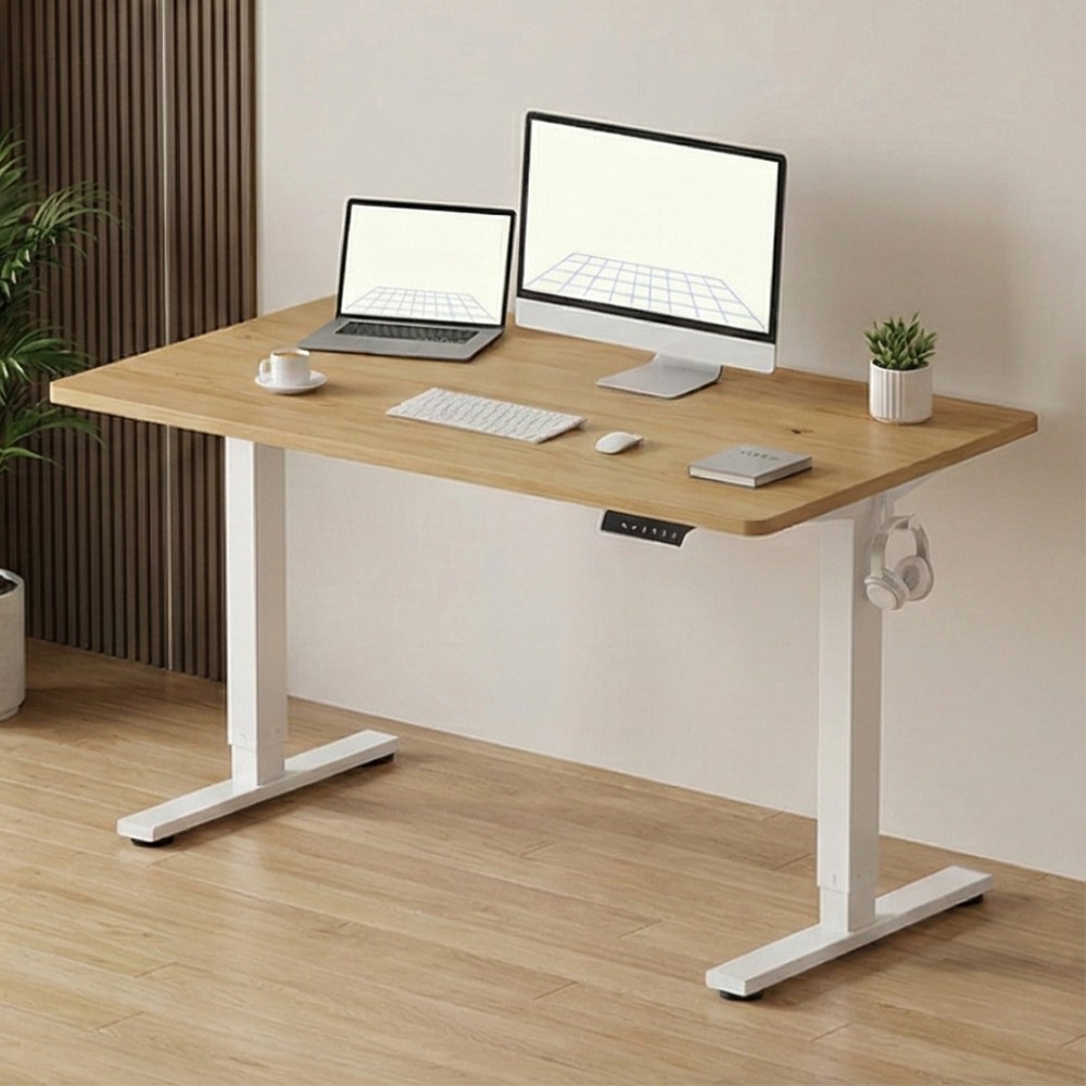 FLEXISPOT ESSENTIAL Height Adjustable Standing Desk - JIJI.SG