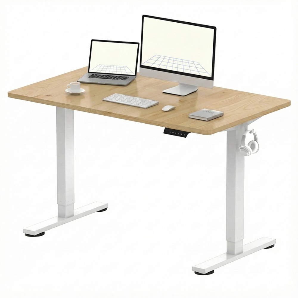 FLEXISPOT ESSENTIAL Height Adjustable Standing Desk - JIJI.SG