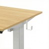 FLEXISPOT ESSENTIAL Height Adjustable Standing Desk - JIJI.SG