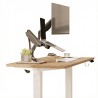 FLEXISPOT ESSENTIAL Height Adjustable Standing Desk - JIJI.SG