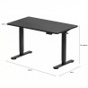 FLEXISPOT ESSENTIAL Height Adjustable Standing Desk - JIJI.SG