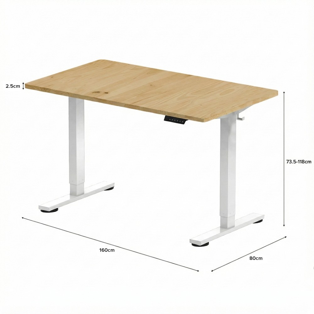 FLEXISPOT ESSENTIAL Height Adjustable Standing Desk - JIJI.SG