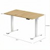 FLEXISPOT ESSENTIAL Height Adjustable Standing Desk - JIJI.SG