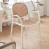 EVELIN Chair, Stackable - JIJI.SG