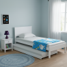BRANDI Pull-out Bed - JIJI.SG