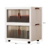 FENAL Foldable Cabinet - JIJI.SG