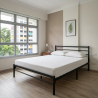 ARON Metal Bed Frame - JIJI.SG