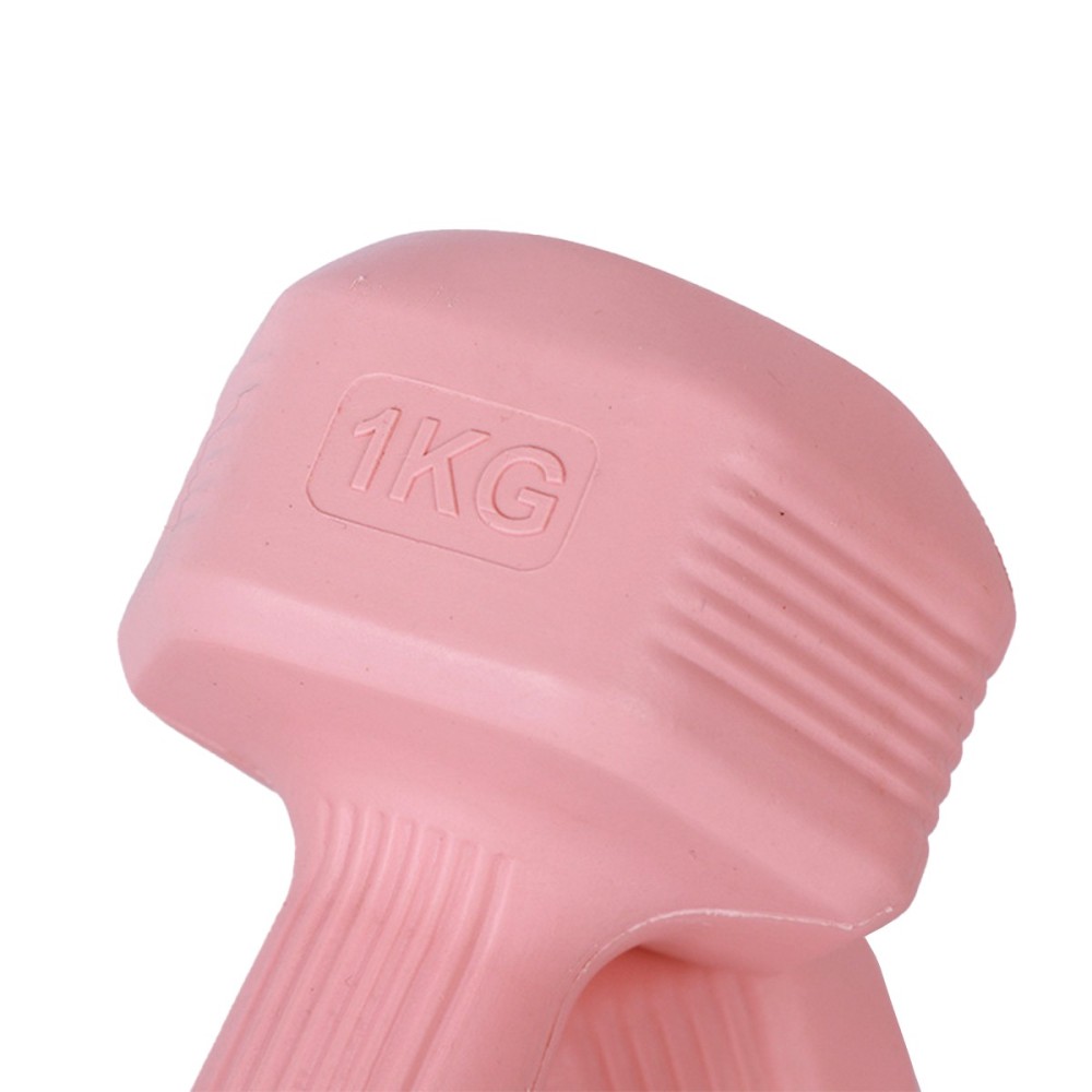FITNET DEITA Female Gym Dumbbell - JIJI.SG