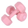 FITNET DEITA Female Gym Dumbbell - JIJI.SG