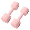FITNET SIEVI 2 in 1 Dumbbell & Kettlebell Set - JIJI.SG