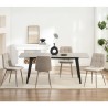 ELVA Dining Chair - JIJI.SG