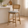 HARLO Bar Stool with Backrest - JIJI.SG