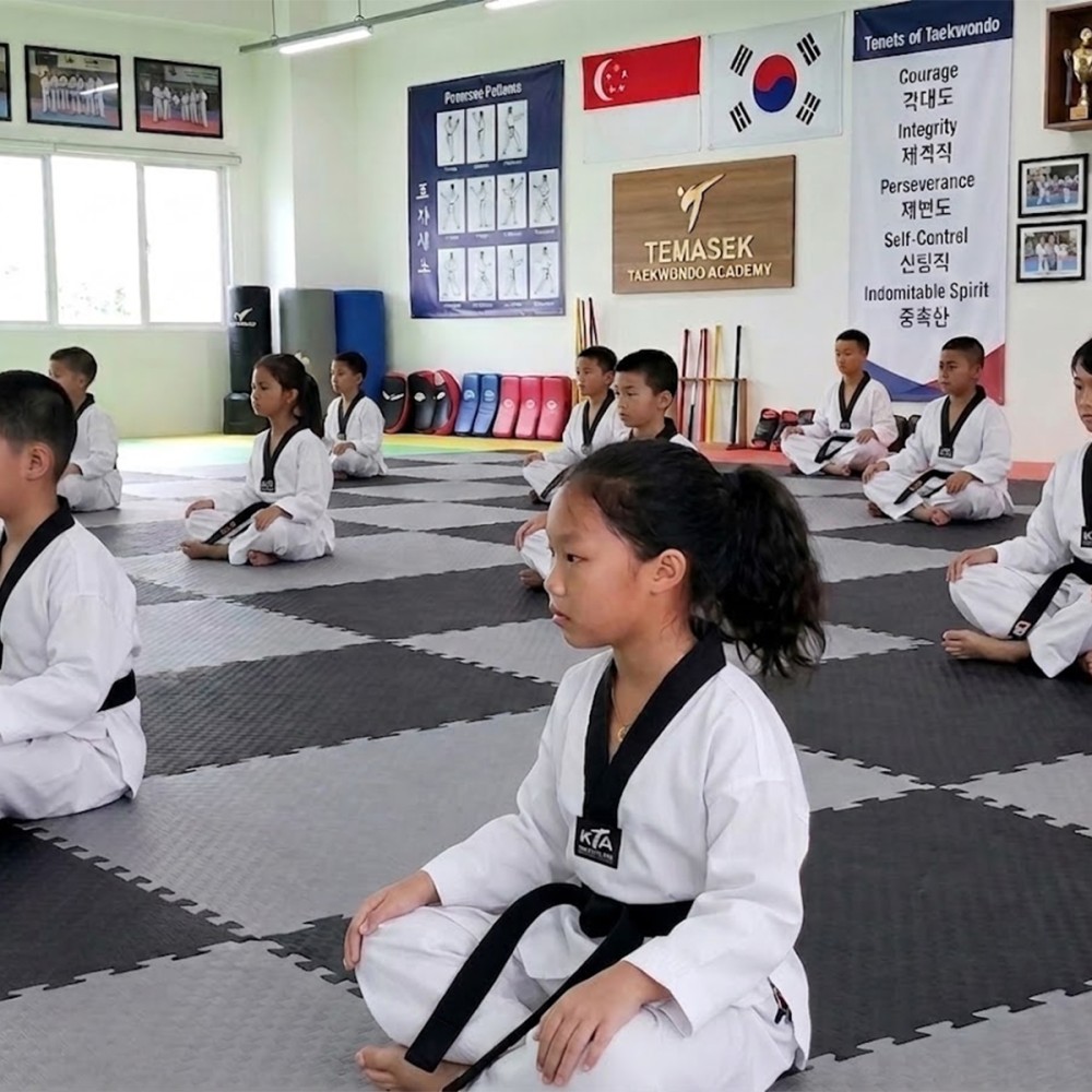ALOIS EVA Gym Mat - JIJI.SG