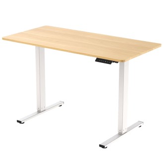 FLEXISPOT LITE Standing Desk - JIJI.SG