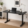 FLEXISPOT LITE Standing Desk - JIJI.SG