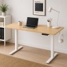 FLEXISPOT LITE Standing Desk - JIJI.SG