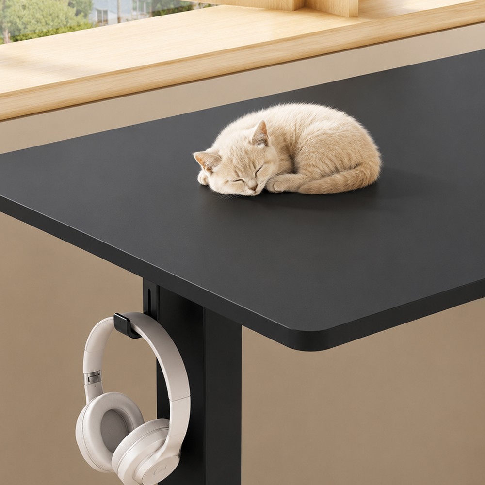 FLEXISPOT LITE Standing Desk - JIJI.SG