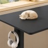 FLEXISPOT LITE Standing Desk - JIJI.SG