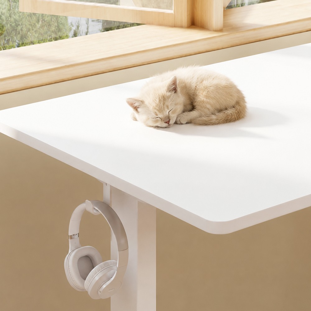 FLEXISPOT LITE Standing Desk - JIJI.SG