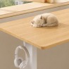FLEXISPOT LITE Standing Desk - JIJI.SG