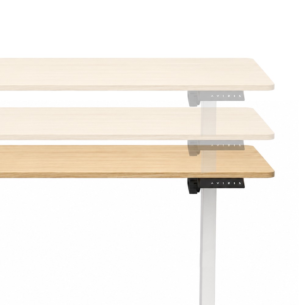FLEXISPOT LITE Standing Desk - JIJI.SG