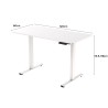 FLEXISPOT LITE Standing Desk - JIJI.SG