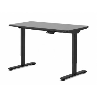 FLEXISPOT E1 PRO Height Adjustable Standing Desk - JIJI.SG