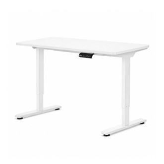 FLEXISPOT E1 PRO Height Adjustable Standing Desk - JIJI.SG