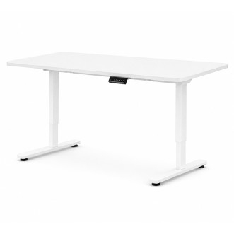 FLEXISPOT E1 PRO Height Adjustable Standing Desk - JIJI.SG