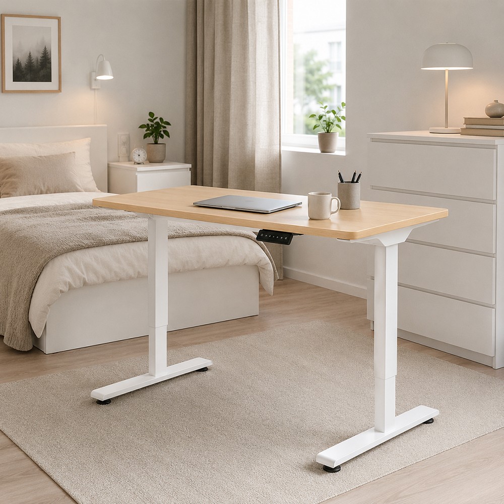 FLEXISPOT E1 PRO Height Adjustable Standing Desk - JIJI.SG