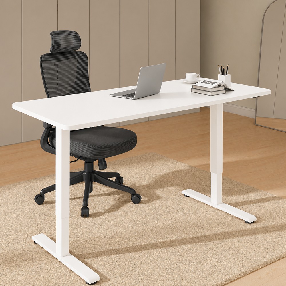 FLEXISPOT E1 PRO Height Adjustable Standing Desk - JIJI.SG