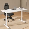 FLEXISPOT E1 PRO Height Adjustable Standing Desk - JIJI.SG