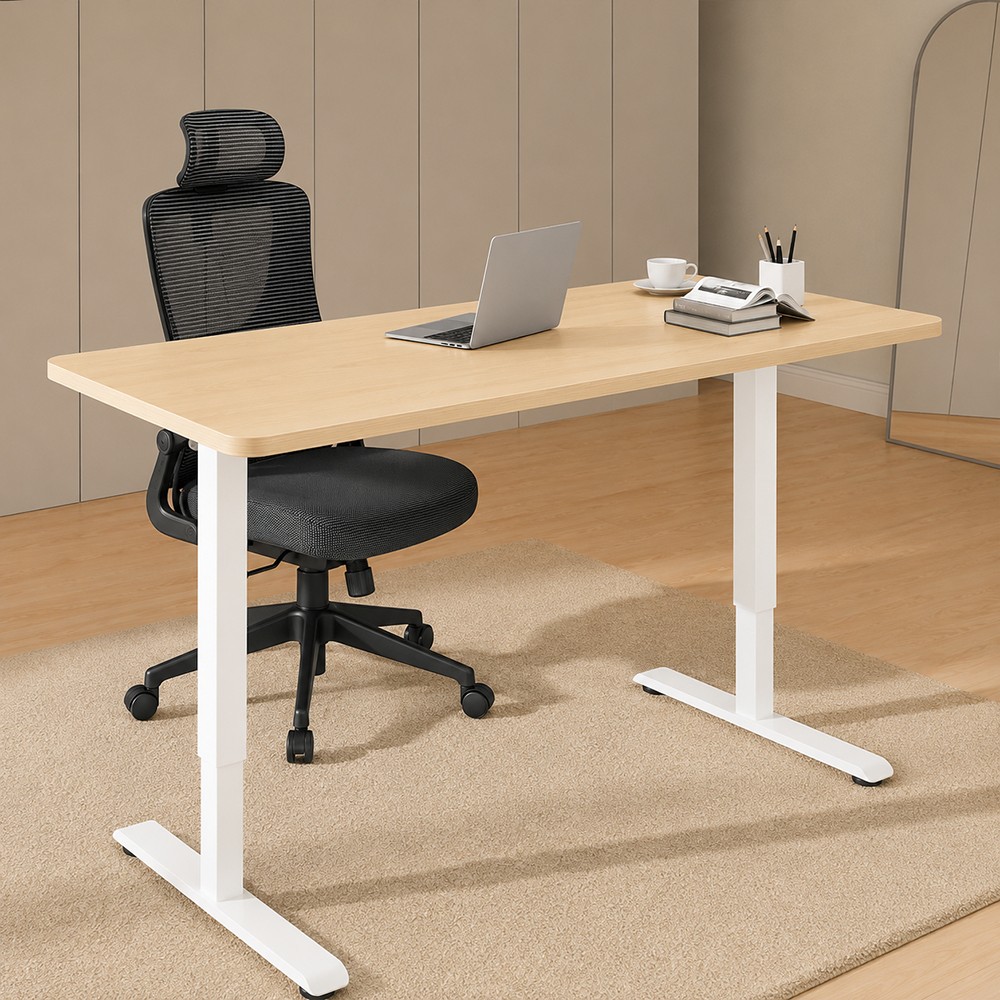 FLEXISPOT E1 PRO Height Adjustable Standing Desk - JIJI.SG