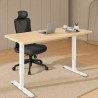 FLEXISPOT E1 PRO Height Adjustable Standing Desk - JIJI.SG
