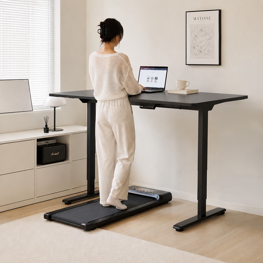 FLEXISPOT E1 PRO Height Adjustable Standing Desk - JIJI.SG