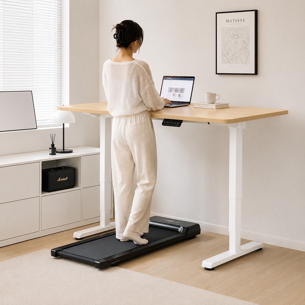 FLEXISPOT E1 PRO Height Adjustable Standing Desk - JIJI.SG