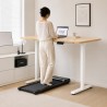 FLEXISPOT E1 PRO Height Adjustable Standing Desk - JIJI.SG