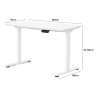 FLEXISPOT E1 PRO Height Adjustable Standing Desk - JIJI.SG
