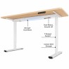 FLEXISPOT E1 PRO Height Adjustable Standing Desk - JIJI.SG