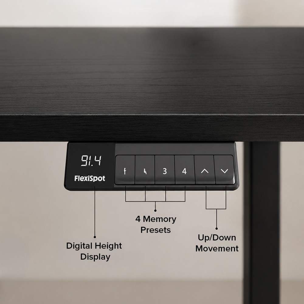 FLEXISPOT E1 PRO Height Adjustable Standing Desk - JIJI.SG