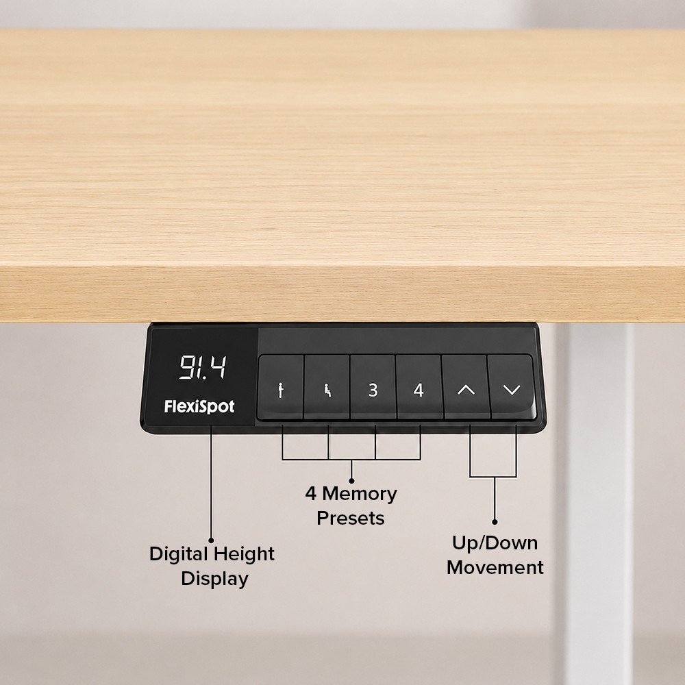 FLEXISPOT E1 PRO Height Adjustable Standing Desk - JIJI.SG