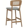 HARLO Bar Stool with Backrest - JIJI.SG