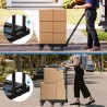 BELTRAN Extandable Foldable Flatbed Trolley - JIJI.SG