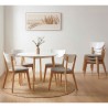 NAIDA Dining Chair - JIJI.SG