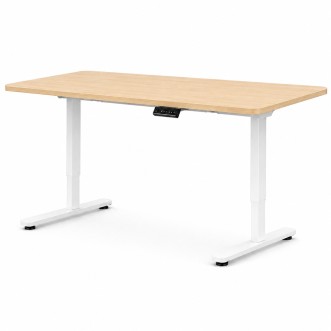 FLEXISPOT E1 PRO Height Adjustable Standing Desk - JIJI.SG