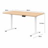 FLEXISPOT E1 PRO Height Adjustable Standing Desk - JIJI.SG