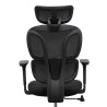 FLEXISPOT BS5 PRO Office Chair - JIJI.SG