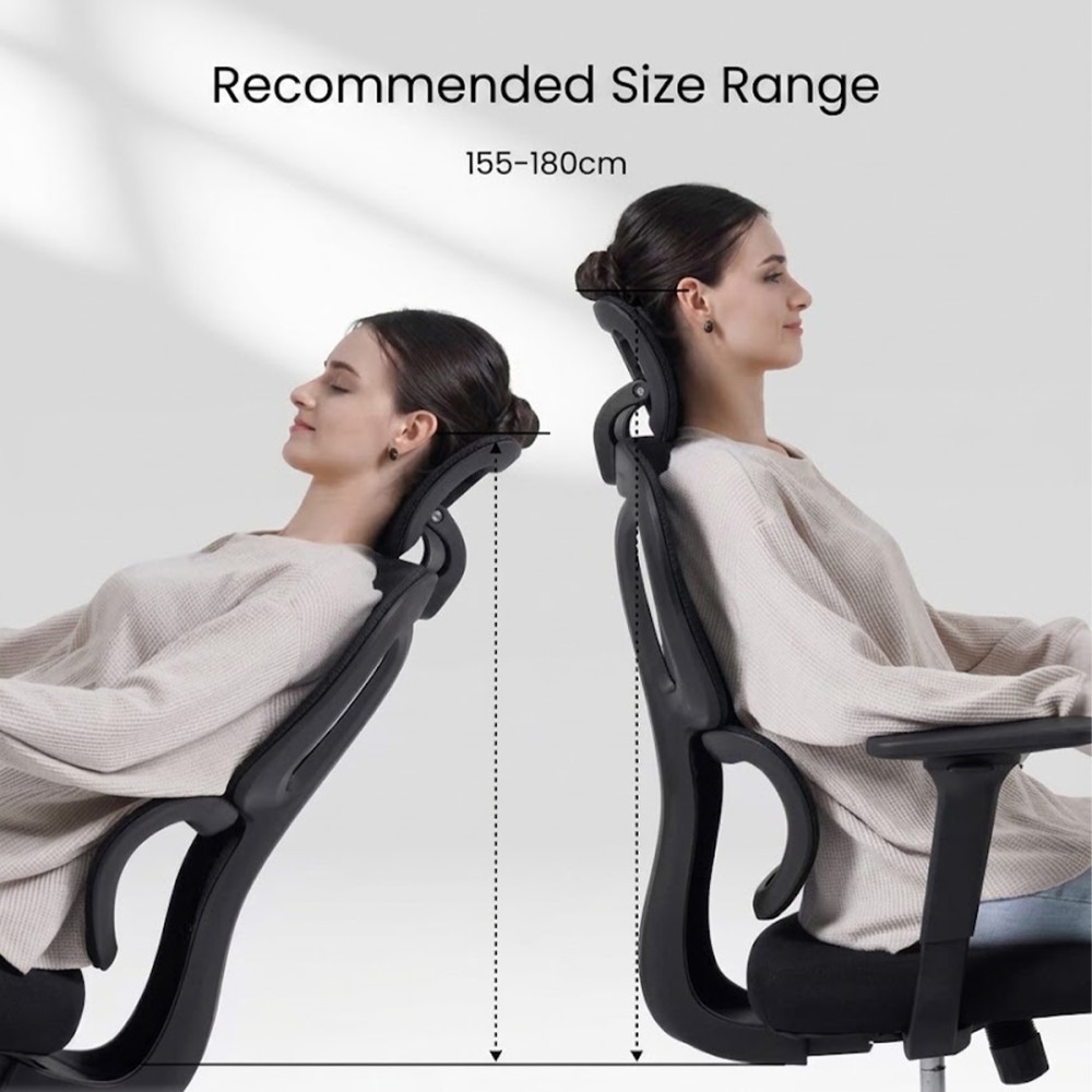 FLEXISPOT BS5 PRO Office Chair - JIJI.SG