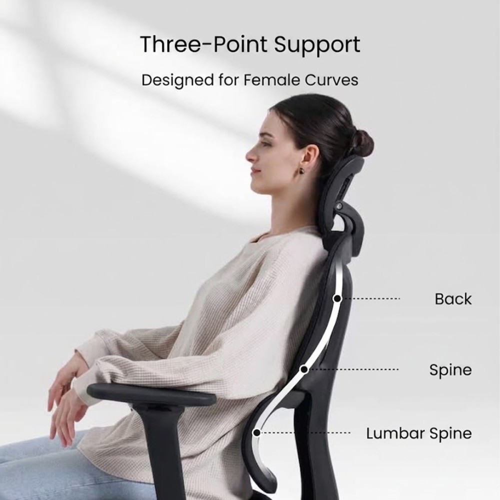 FLEXISPOT BS5 PRO Office Chair - JIJI.SG